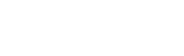 DairyFlow logo