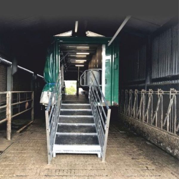 milking-bale-dairy-flow-1